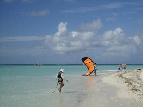 Aruba Active Vacations-Malmok Beach必去景点