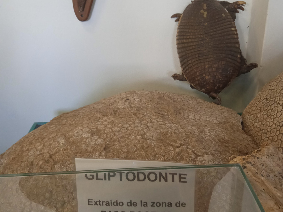 Museo de Geociencias-Tacuarembo必去景点