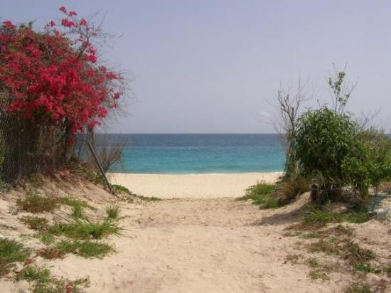 Long Beach-圣马丁岛必去景点