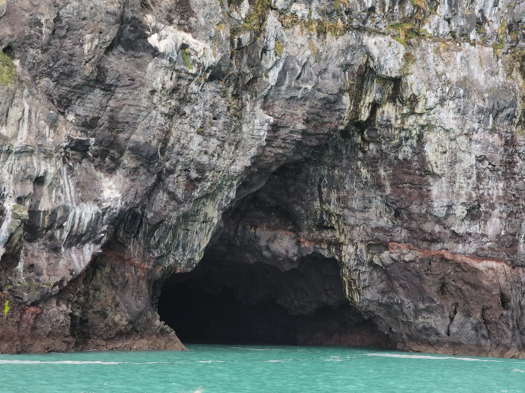 阿卡罗阿海豚观赏航行-阿卡罗阿必去景点