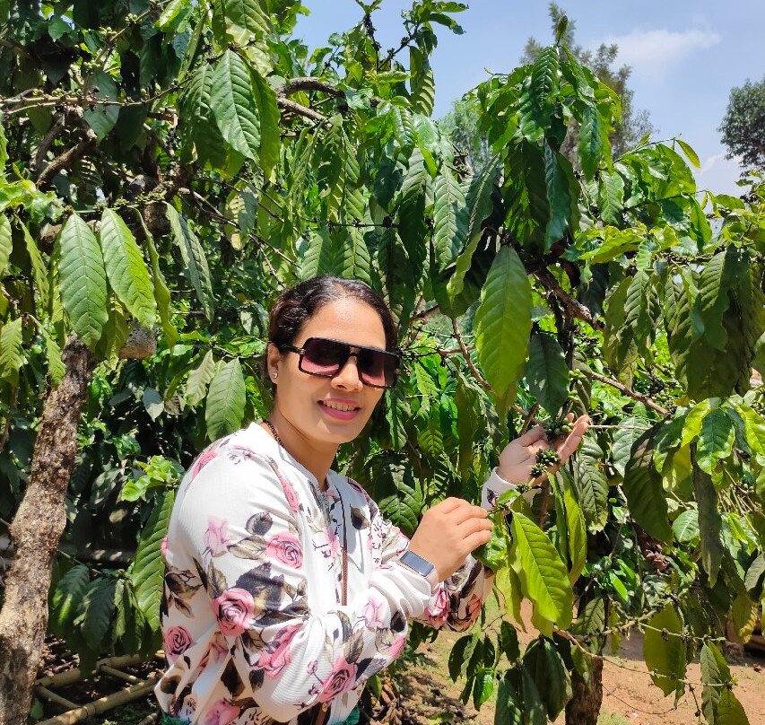 Mercara Gold Estate Coffee Plantation景点图片
