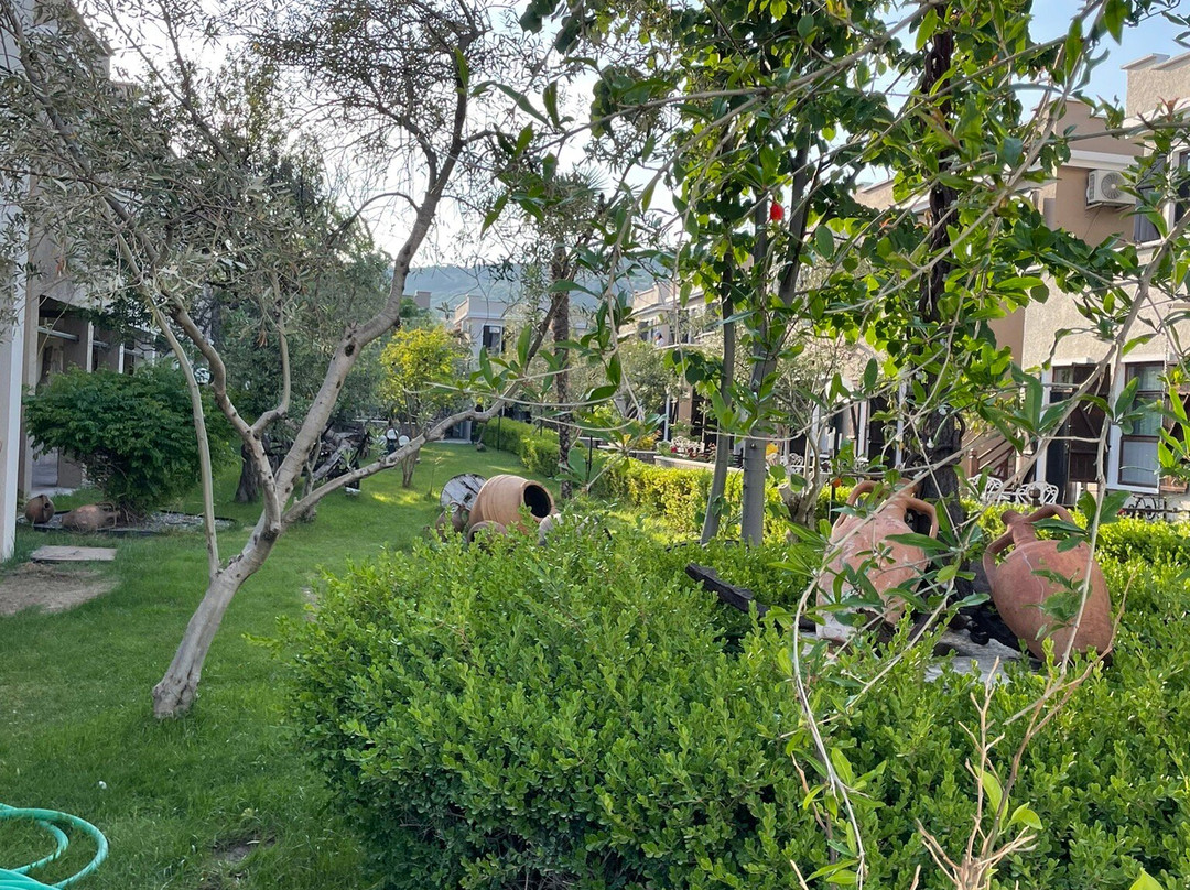 Club Kavala Beach Hotel Assos主图