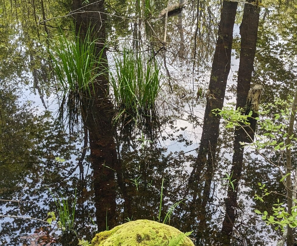 Rondeau Provincial Park景点图片