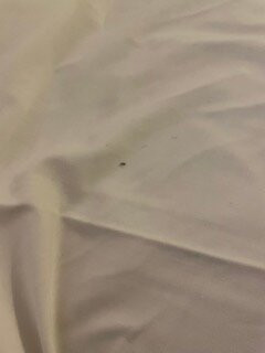 Cedar Lodge Motel主图