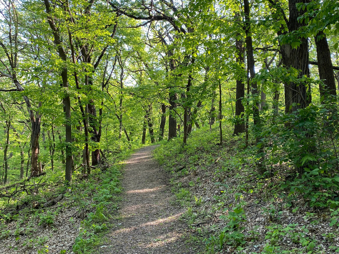 Dorothy Pecaut Nature Center-苏城必去景点