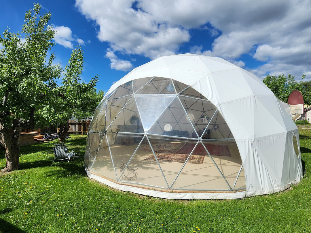 Alameda's Hot Springs主图