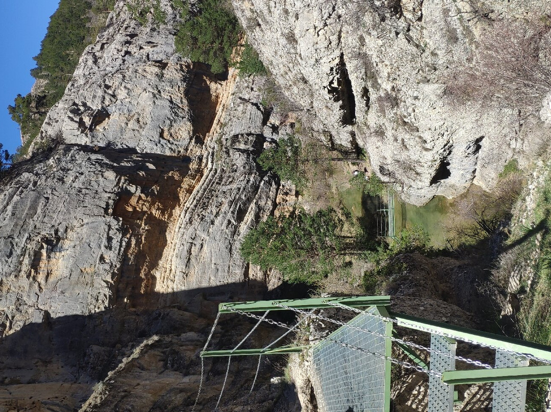 Meson Del Gallo主图