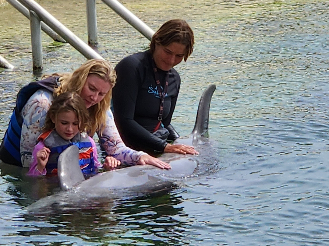 Sea Life Park Animal Encounters-威玛纳诺必去景点