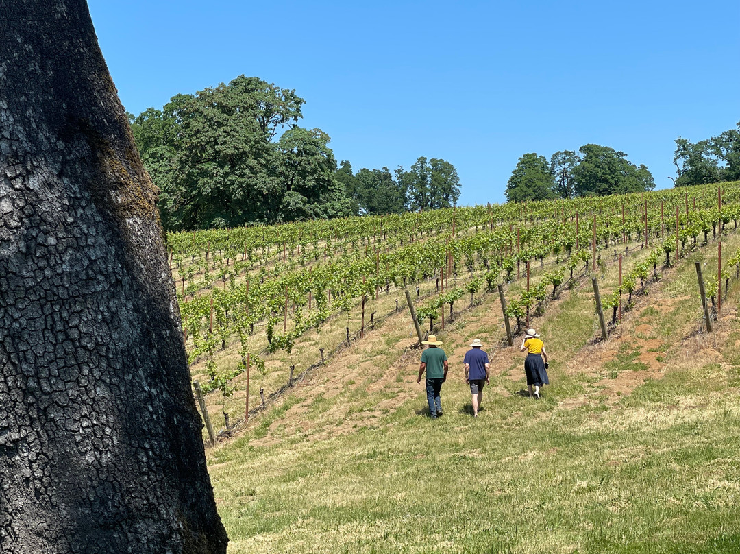 J.L. Kiff Vineyard-麦克明维尔必去景点