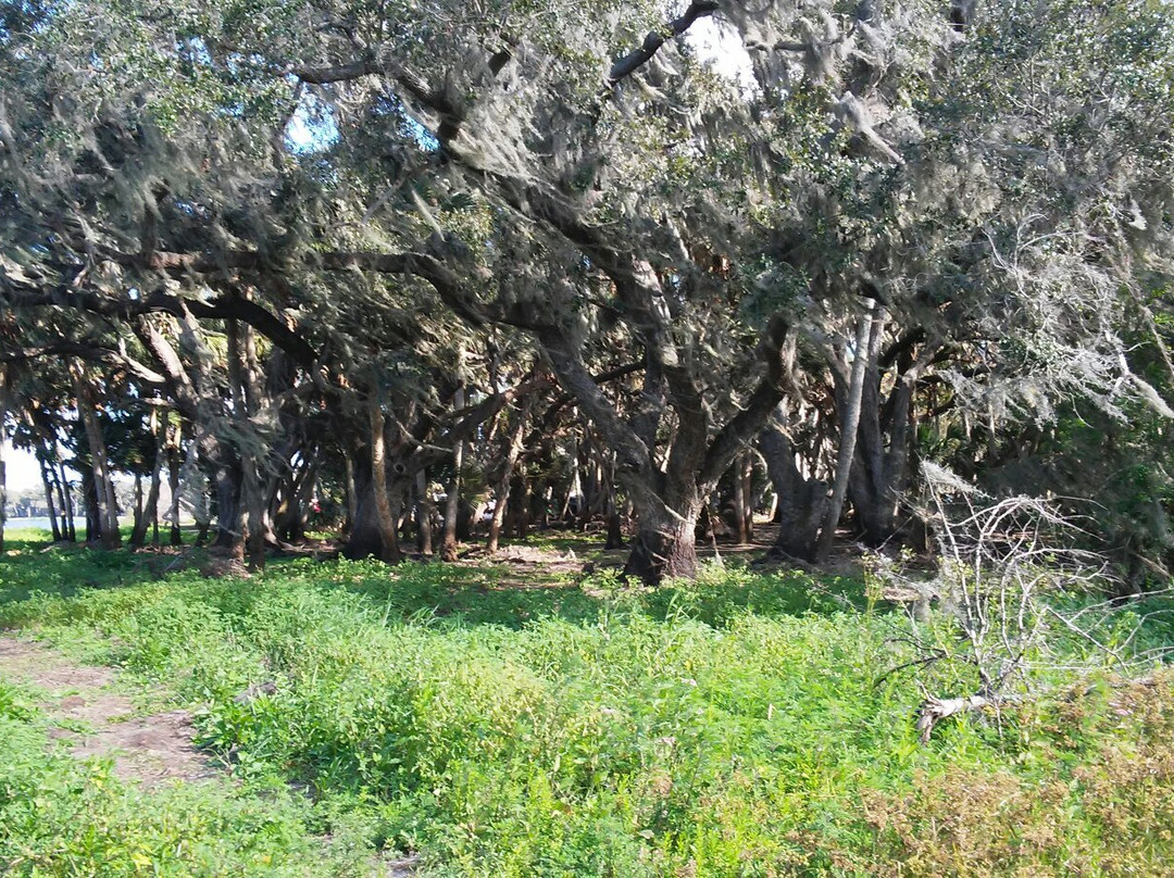 Venice Myakka River Park-Nokomis必去景点