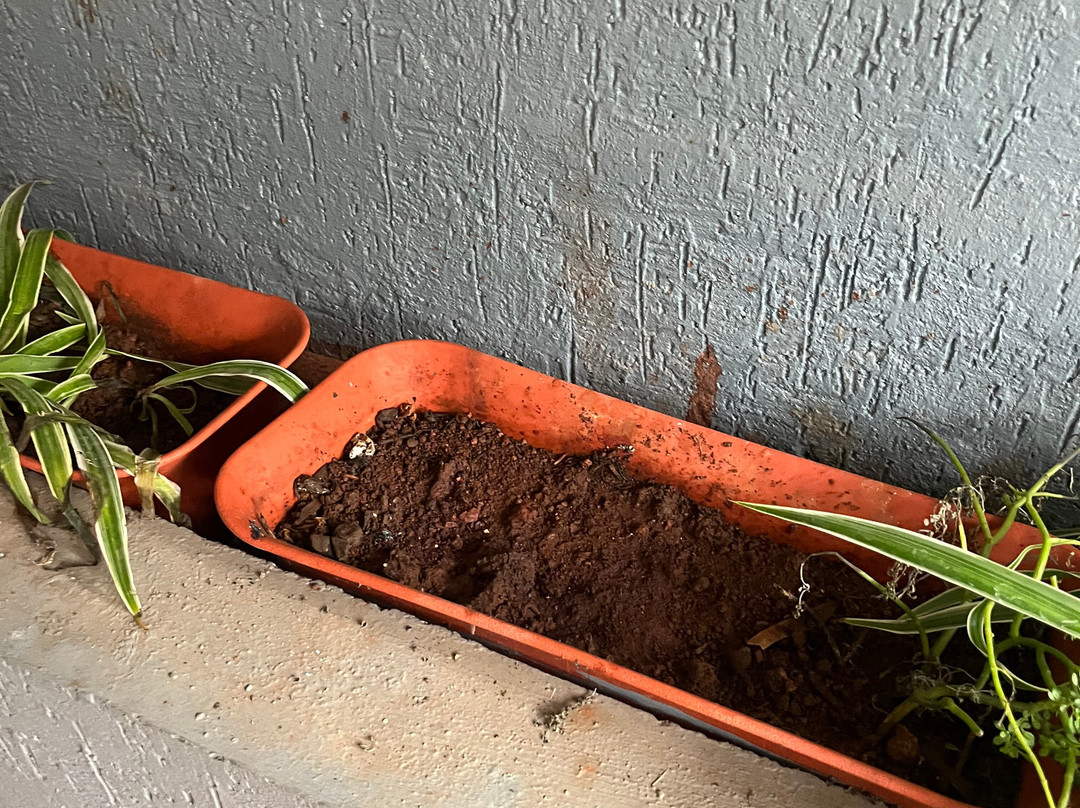 Cloud Mist Resort and Spa主图