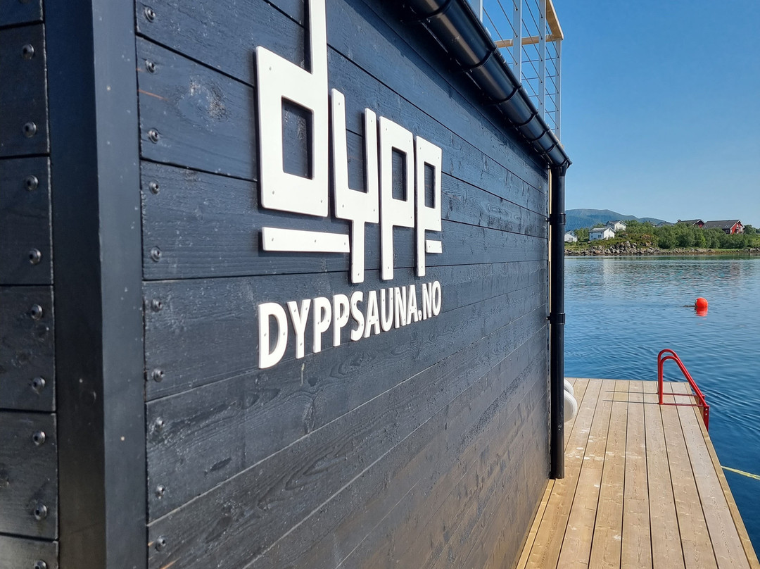 Dypp sauna景点图片