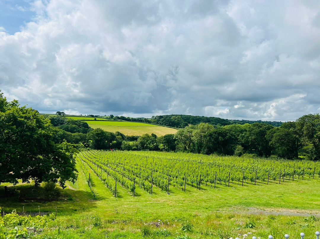 Velfrey Vineyard景点图片