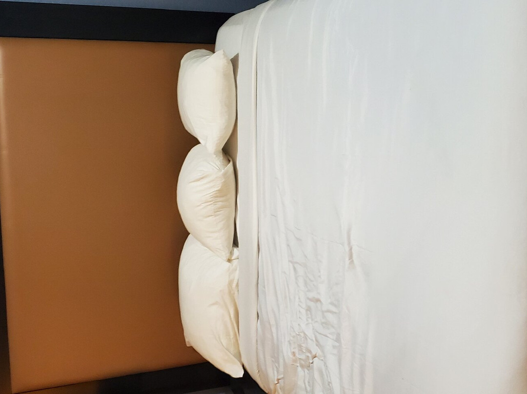 Green Cage Hotel & Restaurant主图