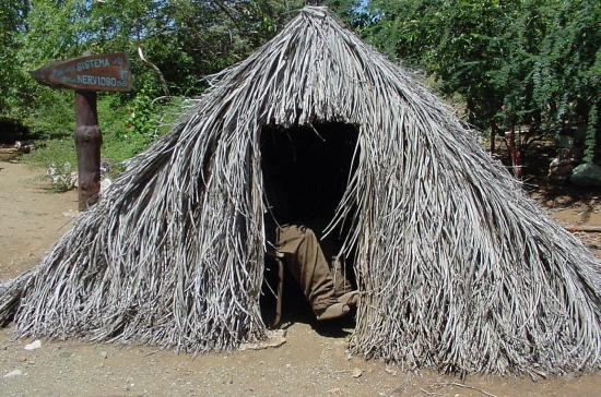 Den Paradera - Dinah's Botanic & Historic Garden-库拉索必去景点