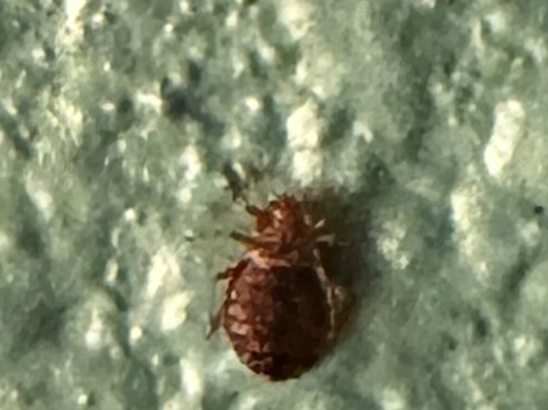 Fairfield by Marriott Inn & Suites Terre Haute主图