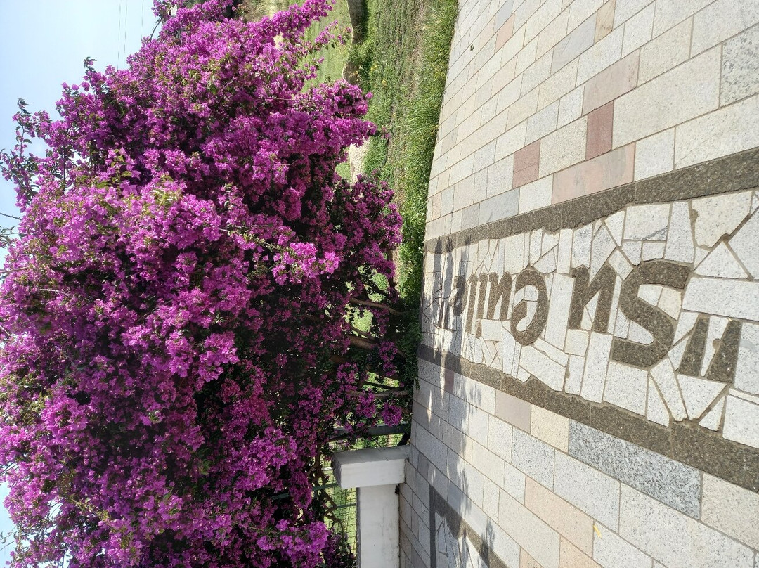 Agriturismo Su Cuile主图