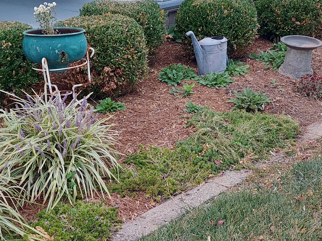 The Destination LLC主图