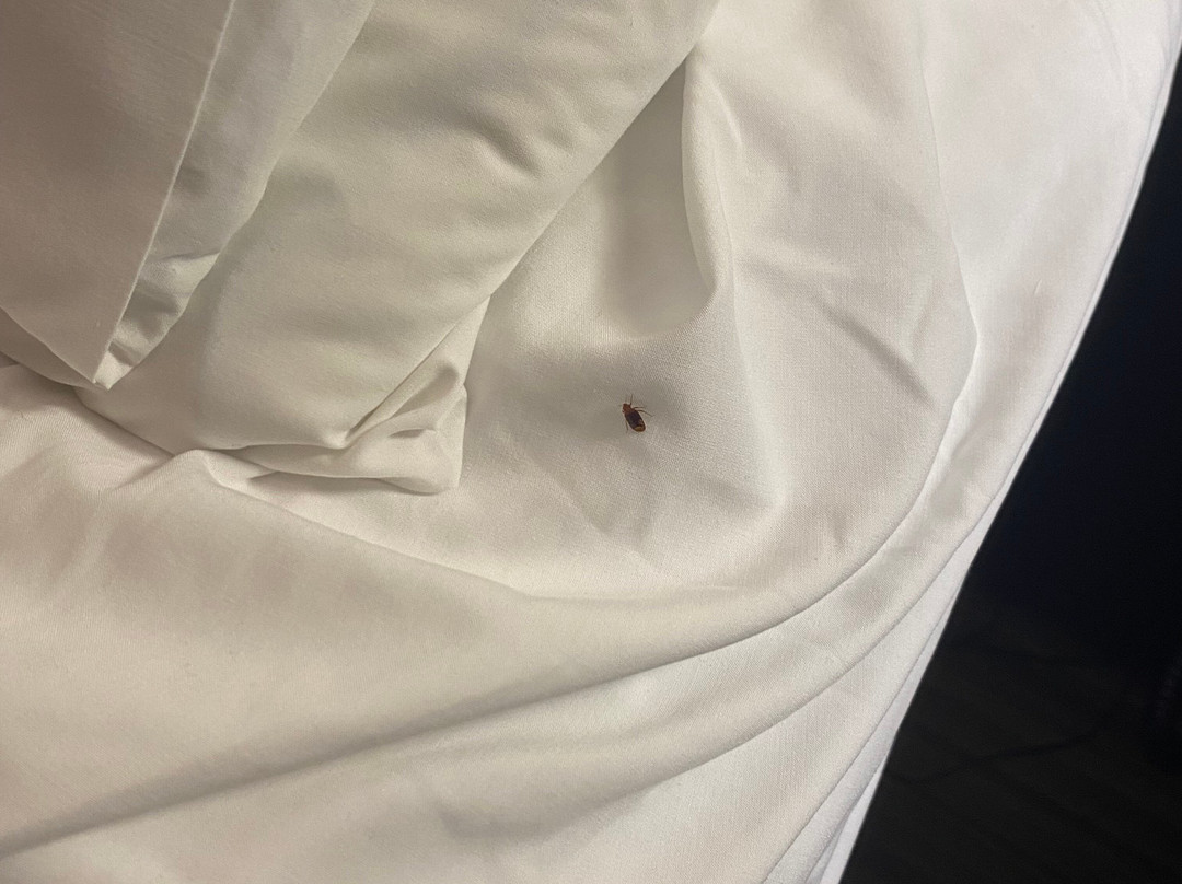 Holiday Inn Express Lorton By IHG主图