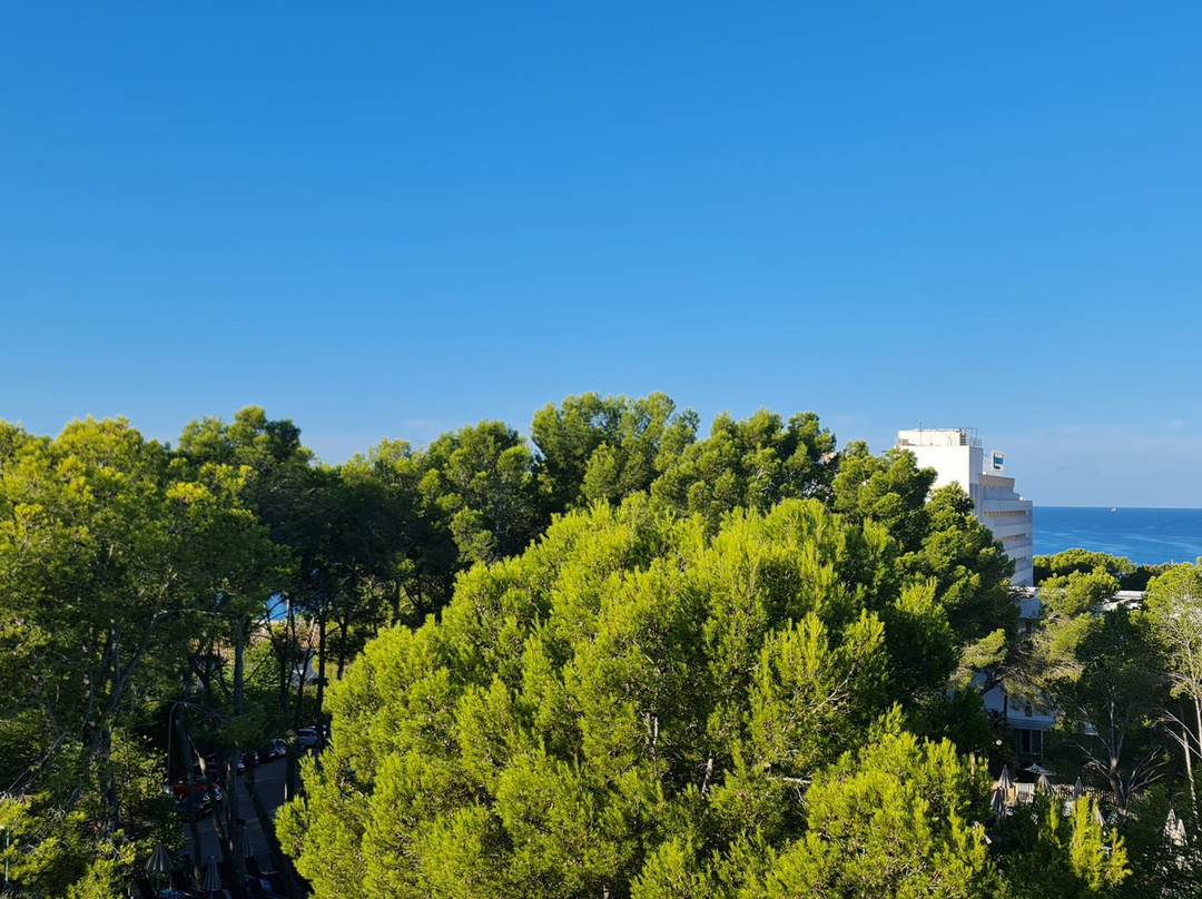 allsun Hotel Bella Paguera主图