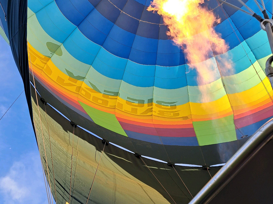 Big Sky Balloon Company景点图片