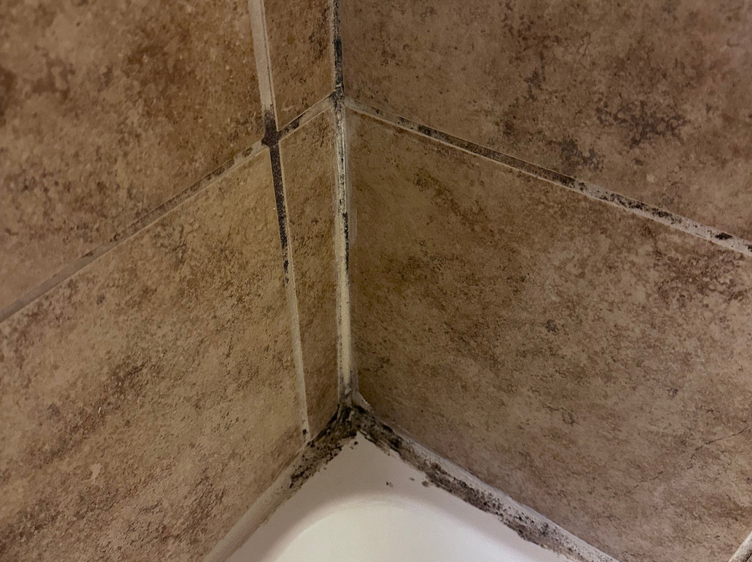 Hampton Inn By Hilton Youngstown-west I-80主图