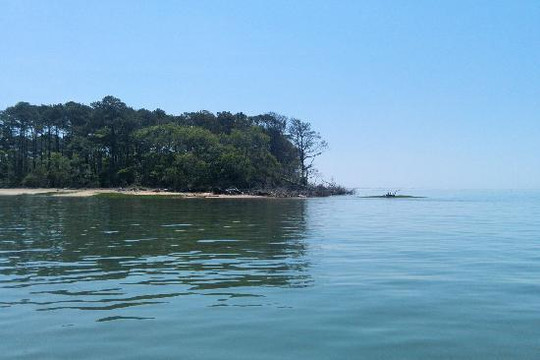 Chincoteague Cruises & Nature Tours-钦科蒂格岛必去景点