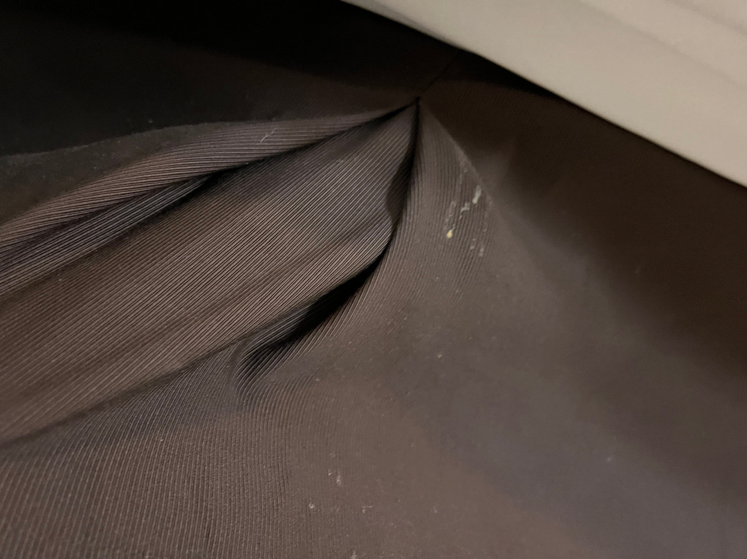 Clarence酒店住宿-Red Roof Inn Buffalo Niagara Airport