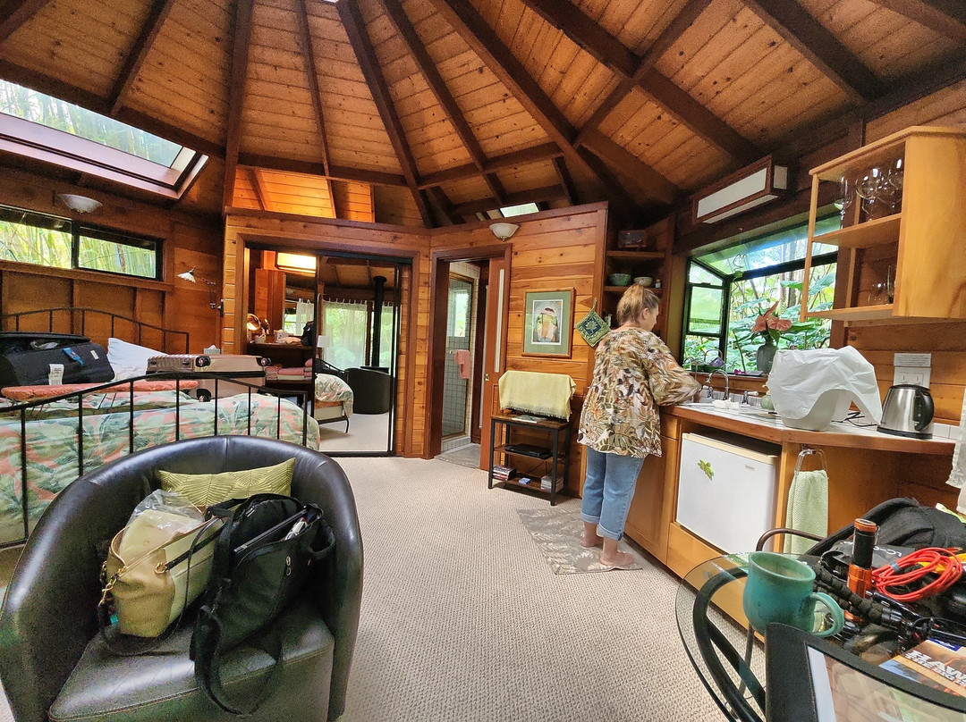 火山雨林休养所主图