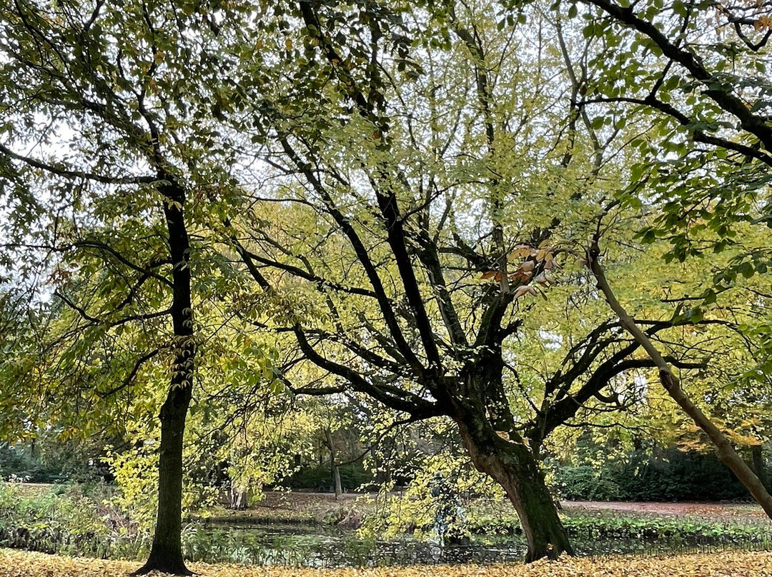 Koningin Astridpark景点图片