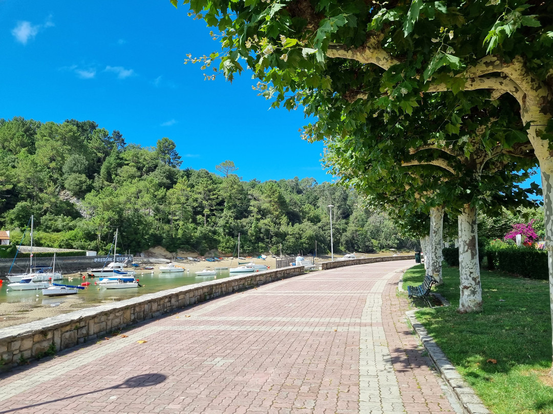 Paseo de Zugaitz景点图片