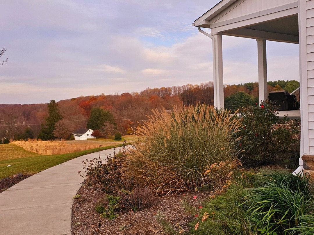 Joy in Hand Flower Farm