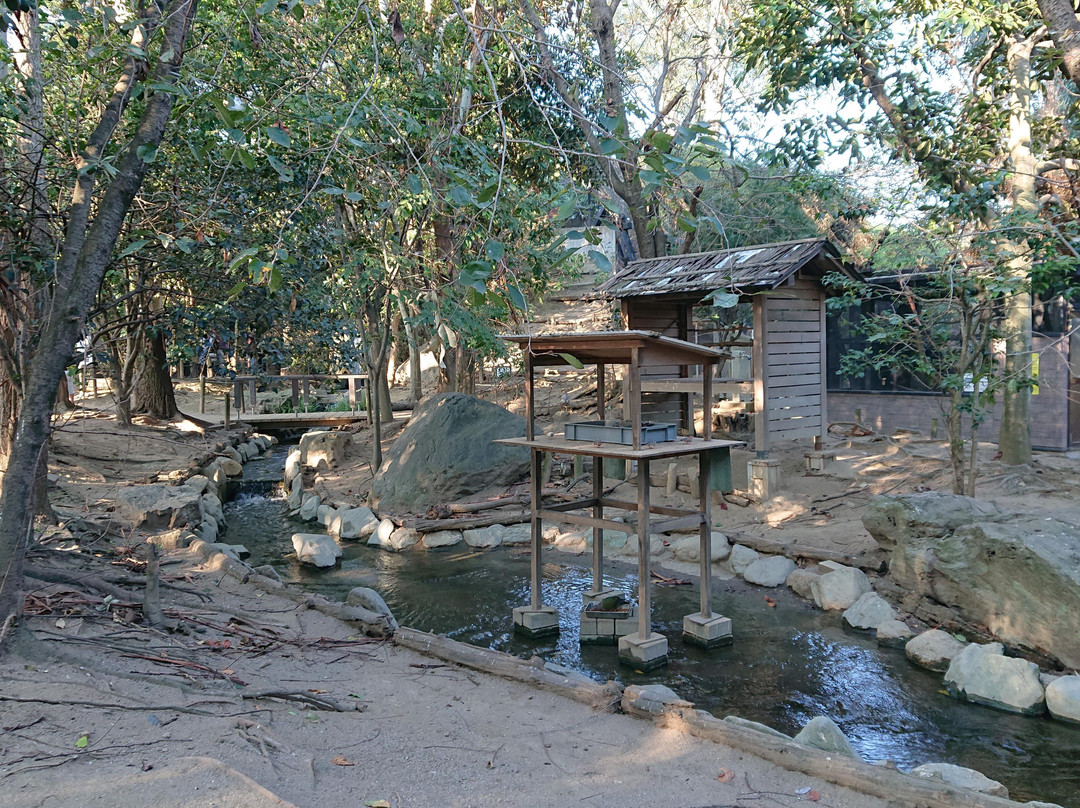 Campbelltown Forest of Wild Birds-越谷市必去景点