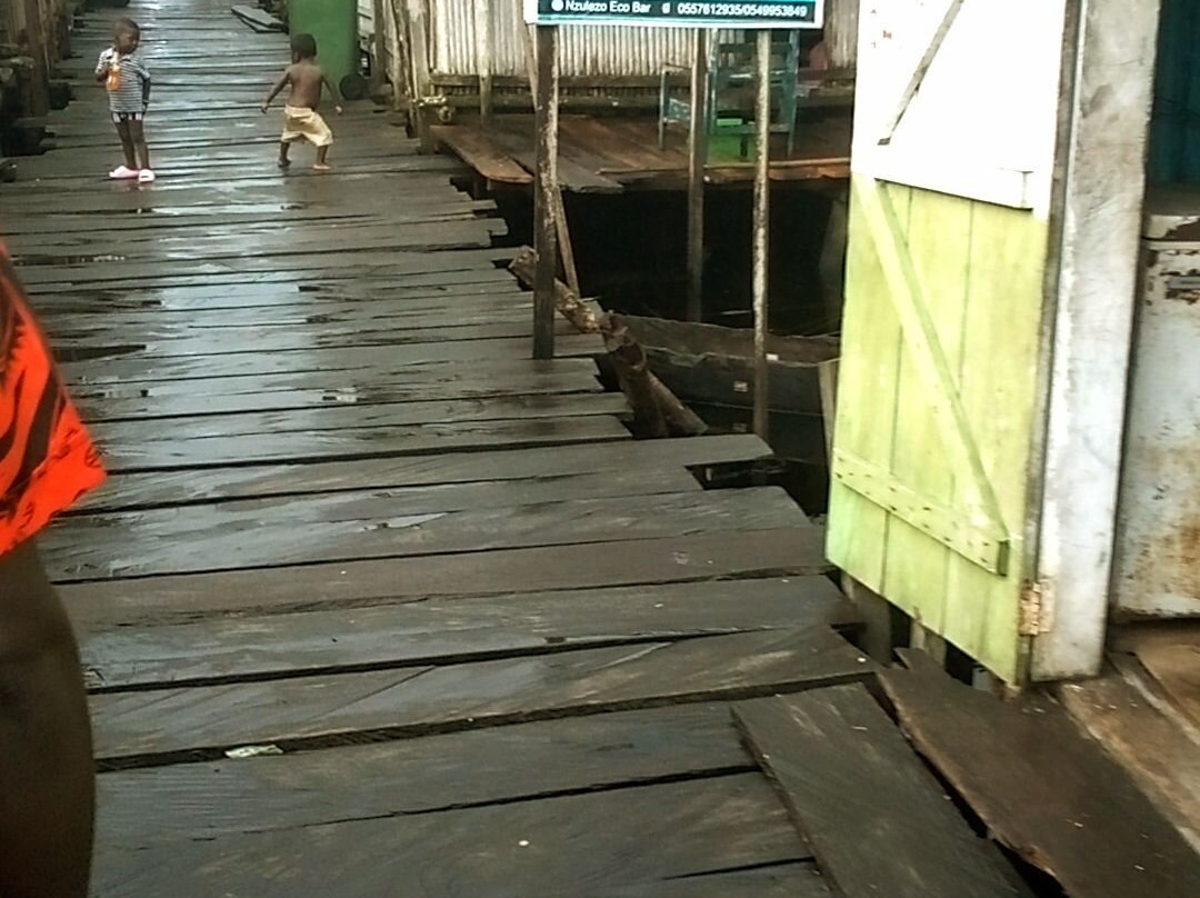 Nzulezo Stilt Village Tour景点图片