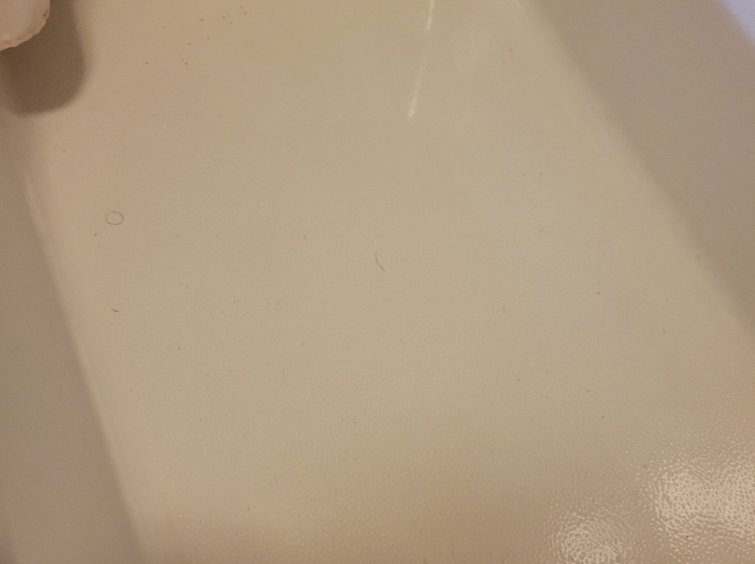 Baymont by Wyndham Minot主图