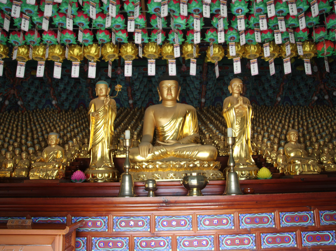 Songgwangsa Temple-顺天市必去景点