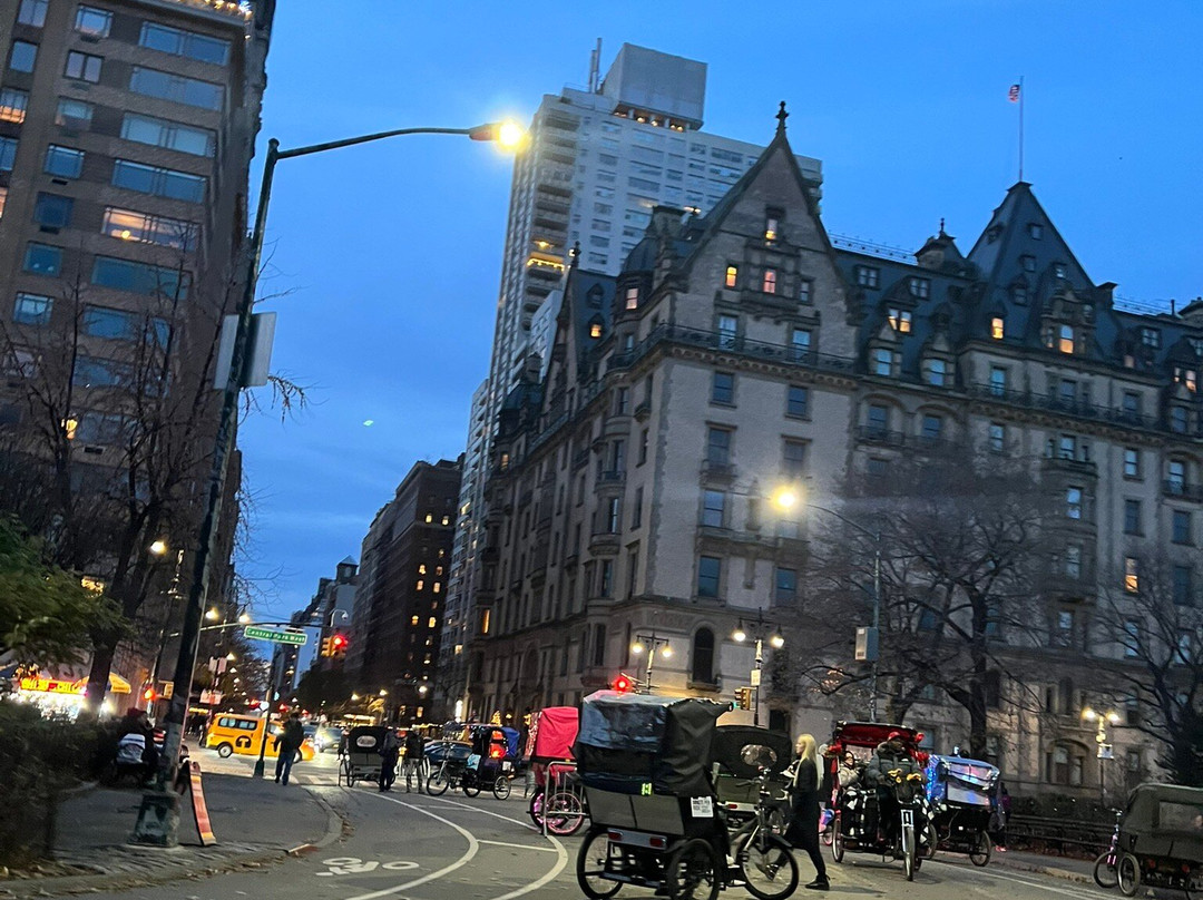 Peter Pen Tours of Central Park-纽约市必去景点