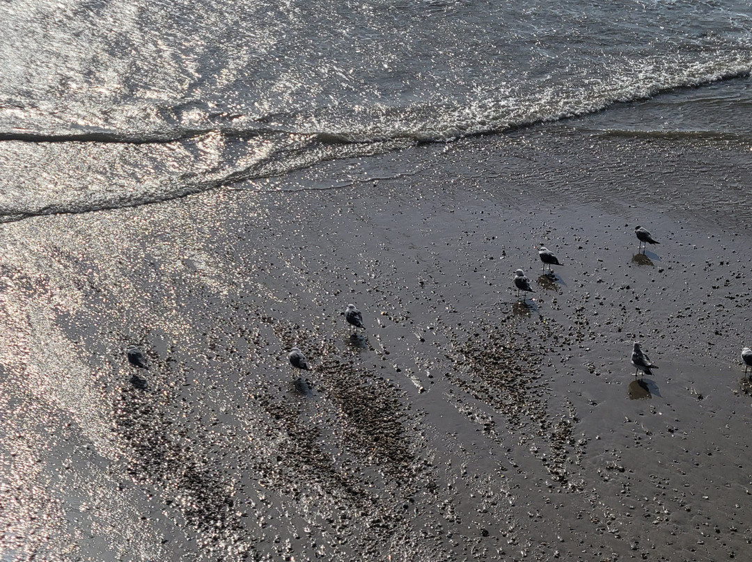 Muchangpo Beach-保宁市必去景点