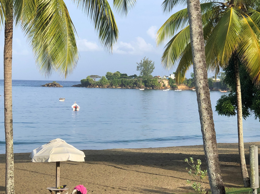 Starfish Tobago Resort主图
