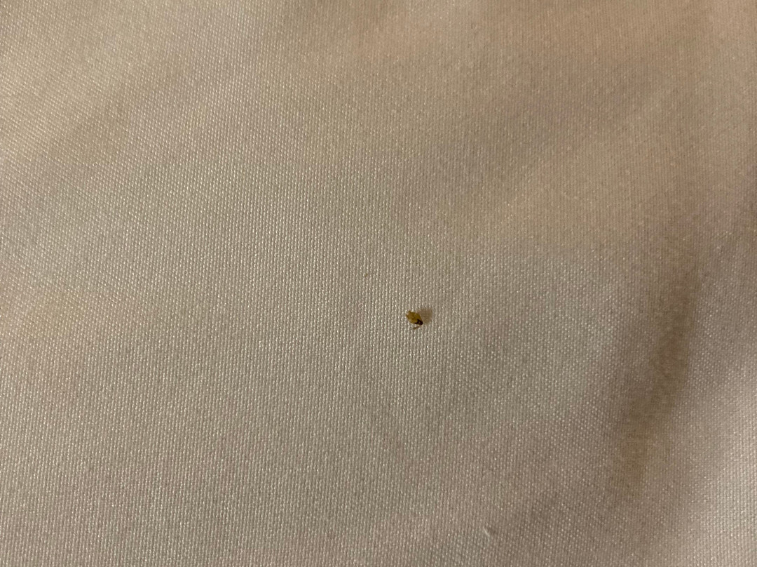 Quality Inn White Springs Suwanee主图