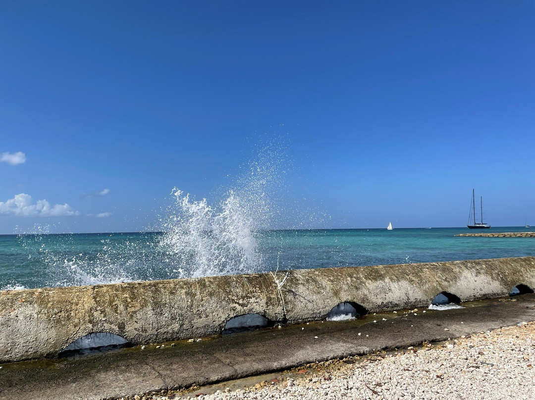 Guadeloupe Explor-Le Moule必去景点