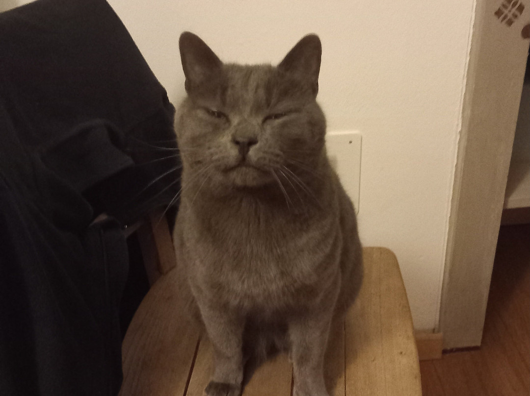 Casa del Pittore主图