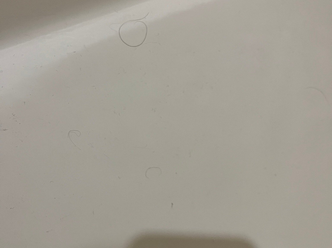 Nordic Lodge Of Steamboat Springs主图