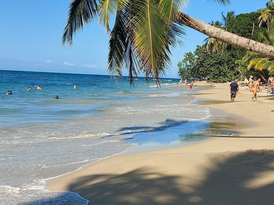 World Evasion-圣何塞必去景点