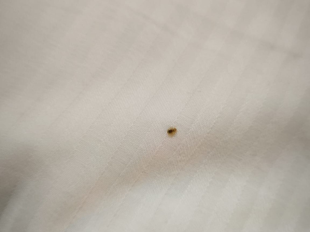 Jura Hotels Afyon Thermal主图