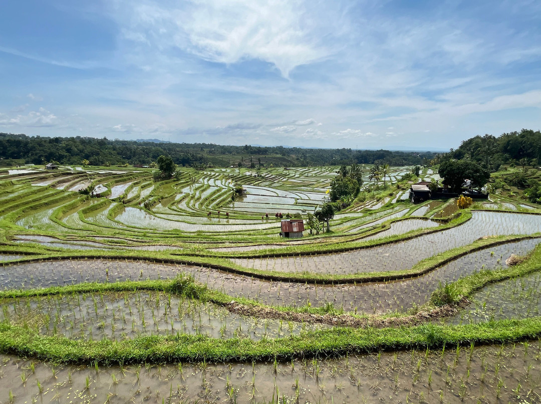 Bali Journey Tours-努沙杜瓦必去景点