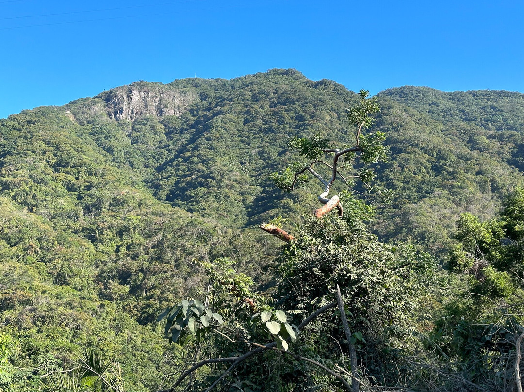 Eco Ride Mountain Bike & Hiking Tours-瓦拉塔港必去景点