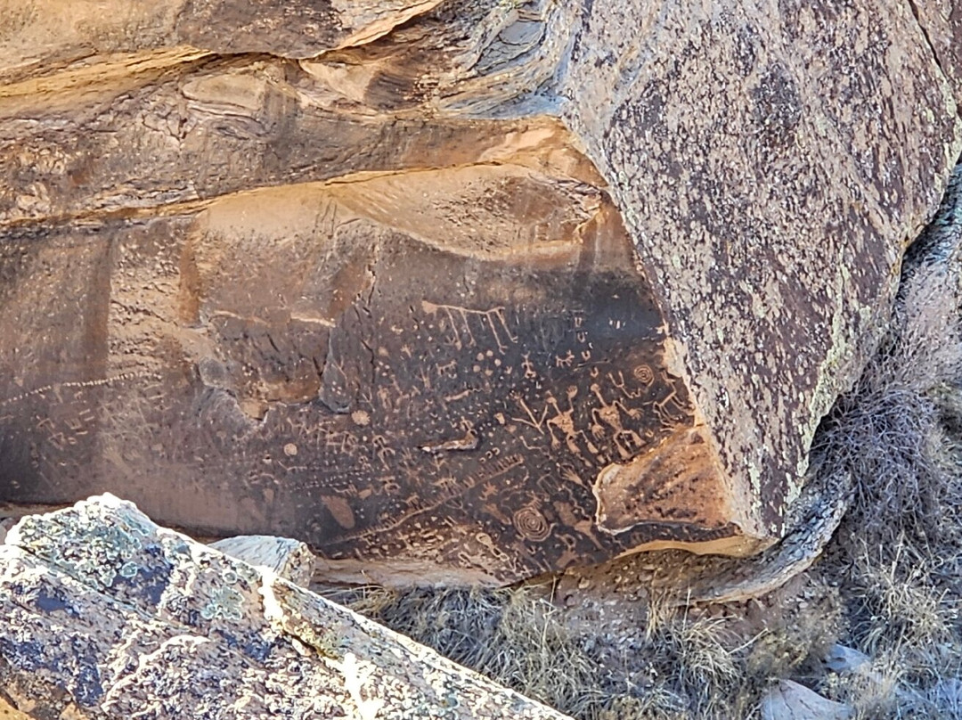 Newspaper Rock景点图片