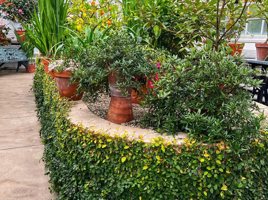 史密斯学院热带植物园-北安普敦必去景点