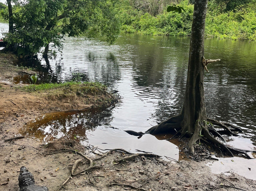 Escorpion Travels-Rurrenabaque必去景点